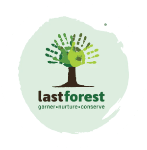 The Last Forest