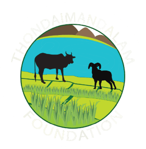 Thondaimandalam Foundation